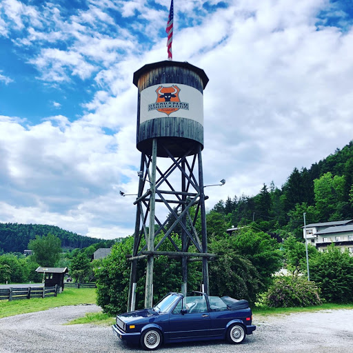 Allianz Versicherung Christoph Tzelepis Hauptvertretung