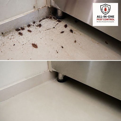 Tired of cockroaches running across your kitchen at night? At All in One Pest Control, we use pro… post image