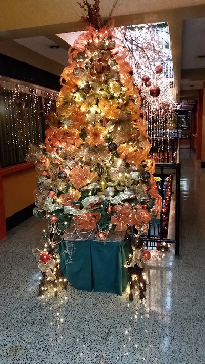 Photos of Comercial Esperancita