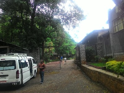 lodging