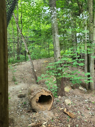 Squam Lakes Natural Science Center