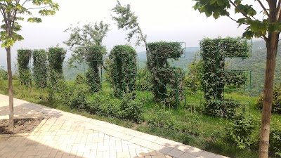 Photos of Koktobe Park
