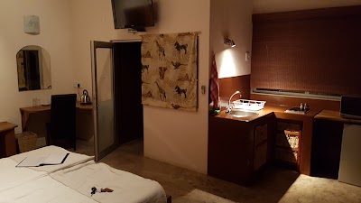 Photos of Suricate town lodge
