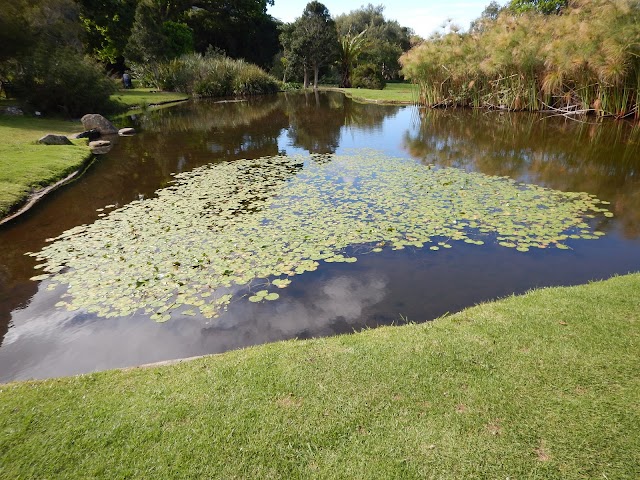 Jardin botanique national Kirstenbosch