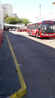 COMPAÑIA MICROOMNIBUS LA COLORADA, Author: Transporte Alsina