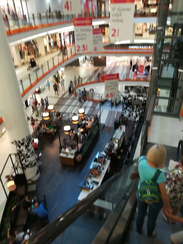 Dom Kino