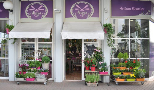 Anaya Artisan Fleuriste - Thumbnail