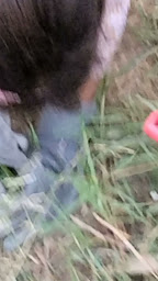 Photo n°22 de Association Cultures et Traditions du Maghreb et de l'Orient à Tournon-sur-Rhône (Association bénévole)