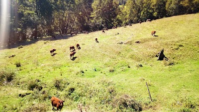 Photos of Termas Los Pozones