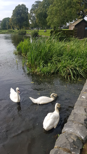 Lochside Caravan Park - Thumbnail