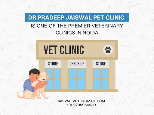 Dr Pradeep Jaiswal Pet Clinic is One of the Premier Veterinary Clinics in Noida post image