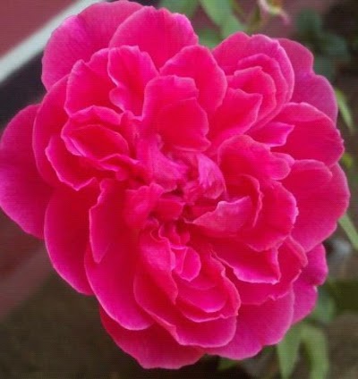Photos of RUWAN KUMARA
