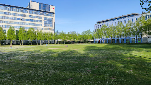 Haifa Park - Thumbnail