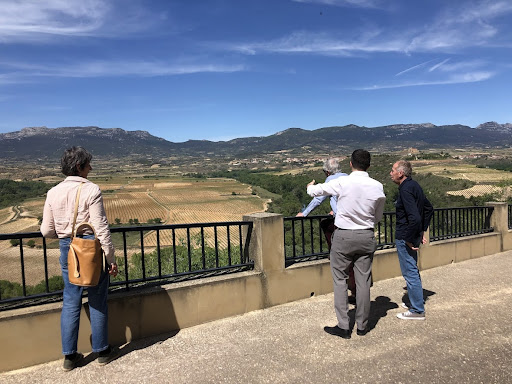 Amabo Rioja Wine Experiences