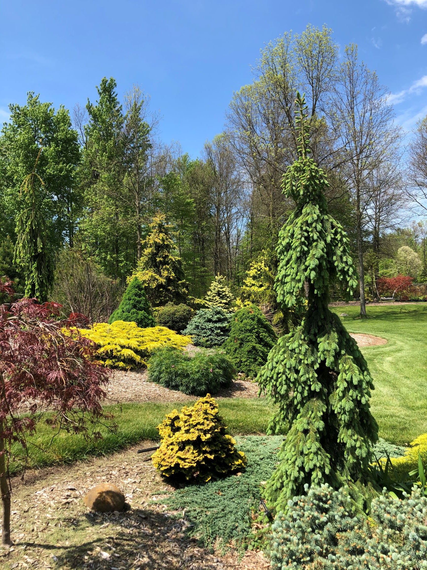 Blue Horizon Nursery and Gardens