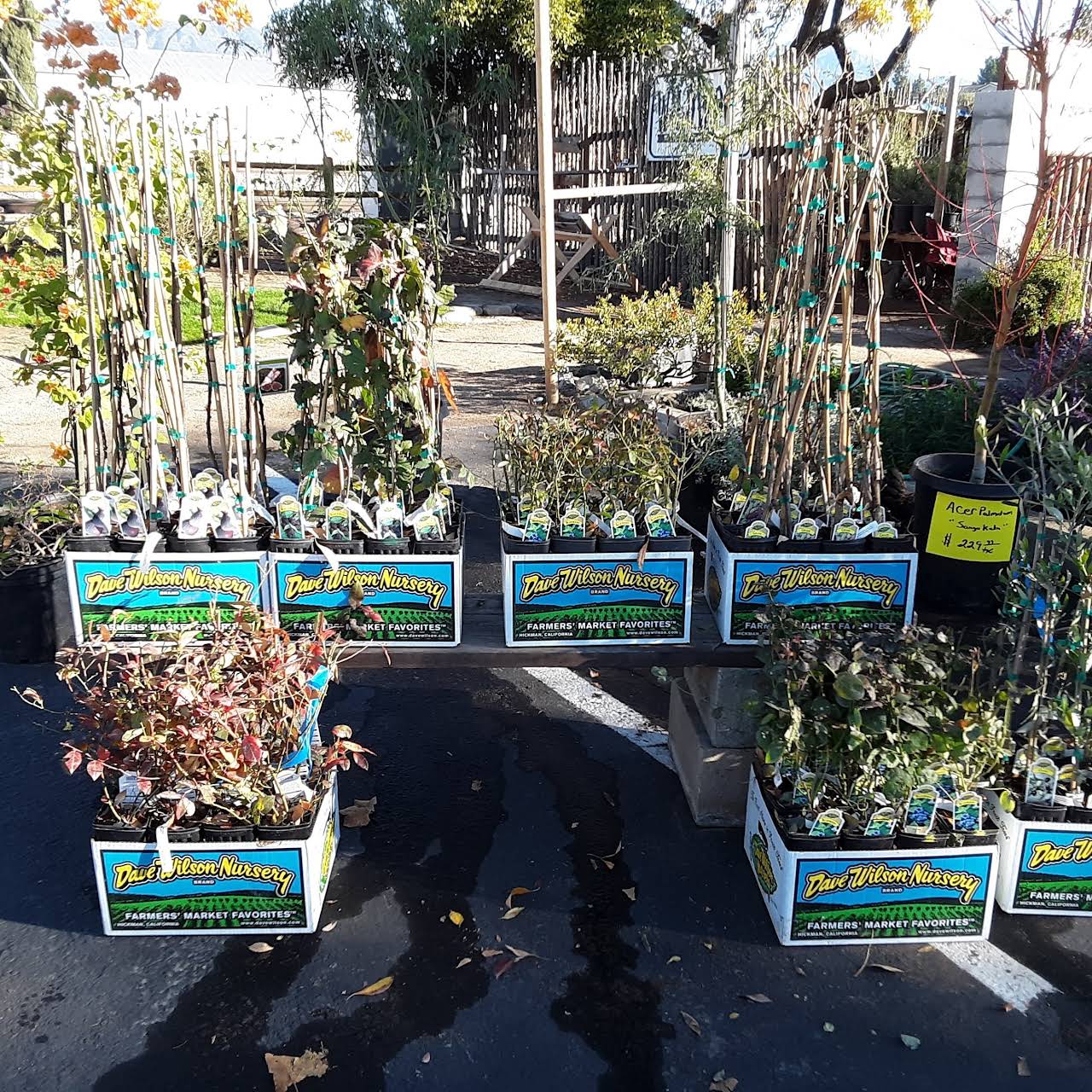 Wildwood Nursery Plant Nursery in Pomona
