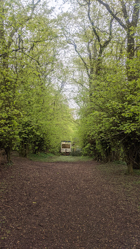 Foxhill Bank Nature Reserve - Thumbnail