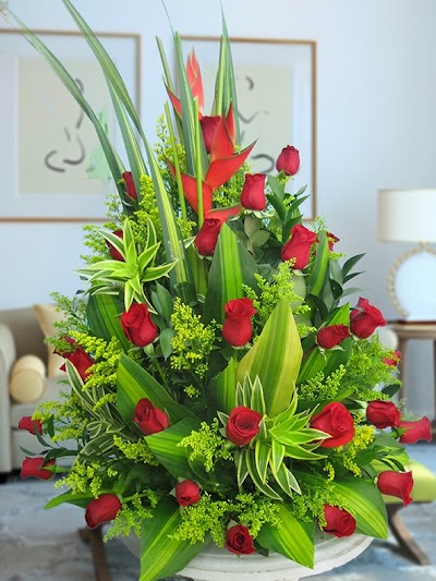 Photos of Florister&iacute;a Agapanto