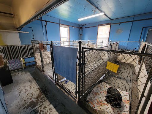 West Hazleton Veterinary Hospital - Thumbnail