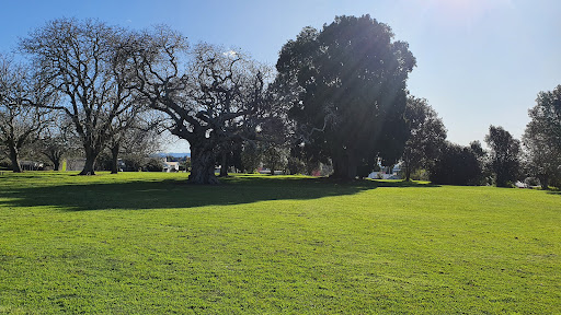 Waipuna Park - Thumbnail