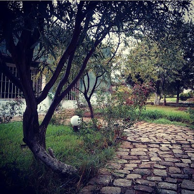 Photos of Caf&eacute;-R&eacute;staurant-Piscine Hacienda
