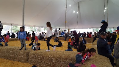 Photos of Bengtson's Pumpkin Farm and Fall Fest