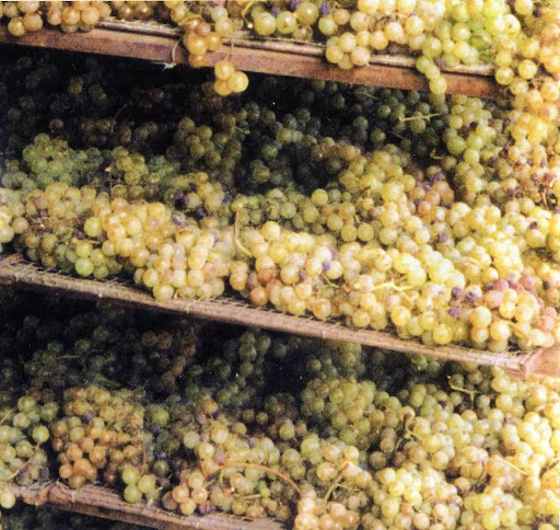 Associazione Moscato Passito Valle Bagnario Strevi - Thumbnail
