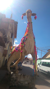 Print Master Cusco 3