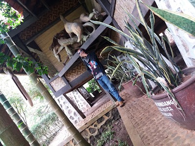 Photos of Taman Pinus Pangjugjugan