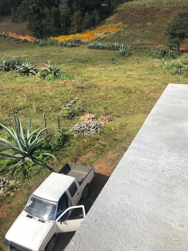 La joya de maguey en piedra azul peras oax. - Thumbnail