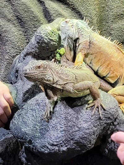 East Idaho Aquarium