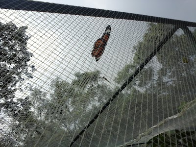 Photos of Butterfly Park And Research Centre Jahangirnagar University