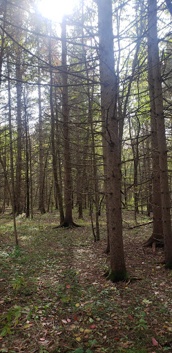 Black Creek Marsh Wildlife Management Area - Thumbnail