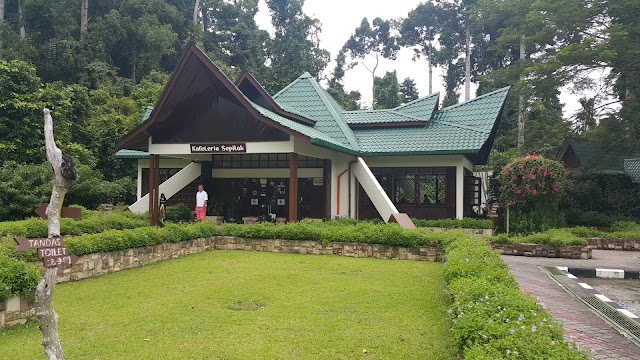 Sepilok Orangutan Rehabilitation Centre