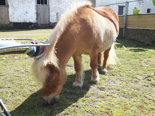Photo n°6 de La ferme des Canoles à Trith-Saint-Léger (Association ou organisation)