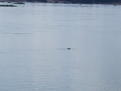 Photos of Boat Ticket Counter