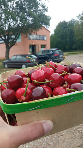 Domaine les Rizannes Gallery - France