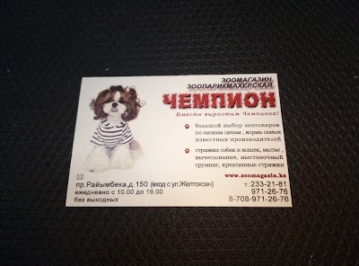 Photos of Чемпион