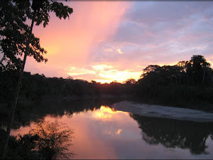 Tambopata Reserve tours 5