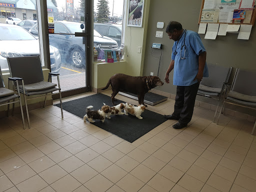 Keele Rutherford Animal Hospital - Thumbnail