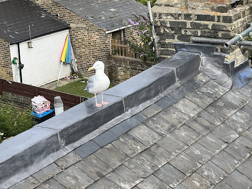 First Class Rooflines - Visual
