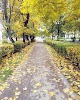 Фотография Сквер, улица Ленина, Данилов, Россия