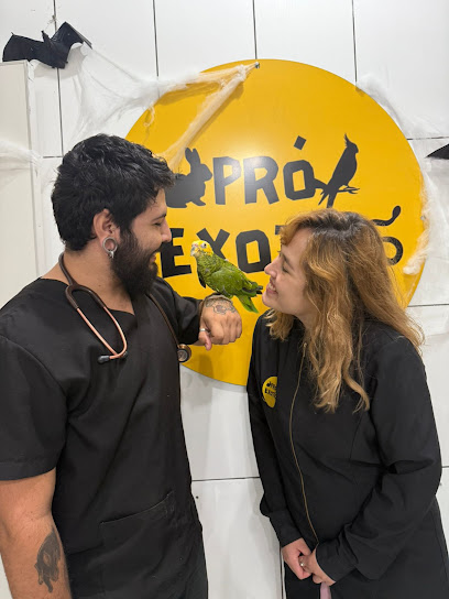 Clínica Pró Exotics - Medicina de pets não convencionais (Exóticos e Silvestres)