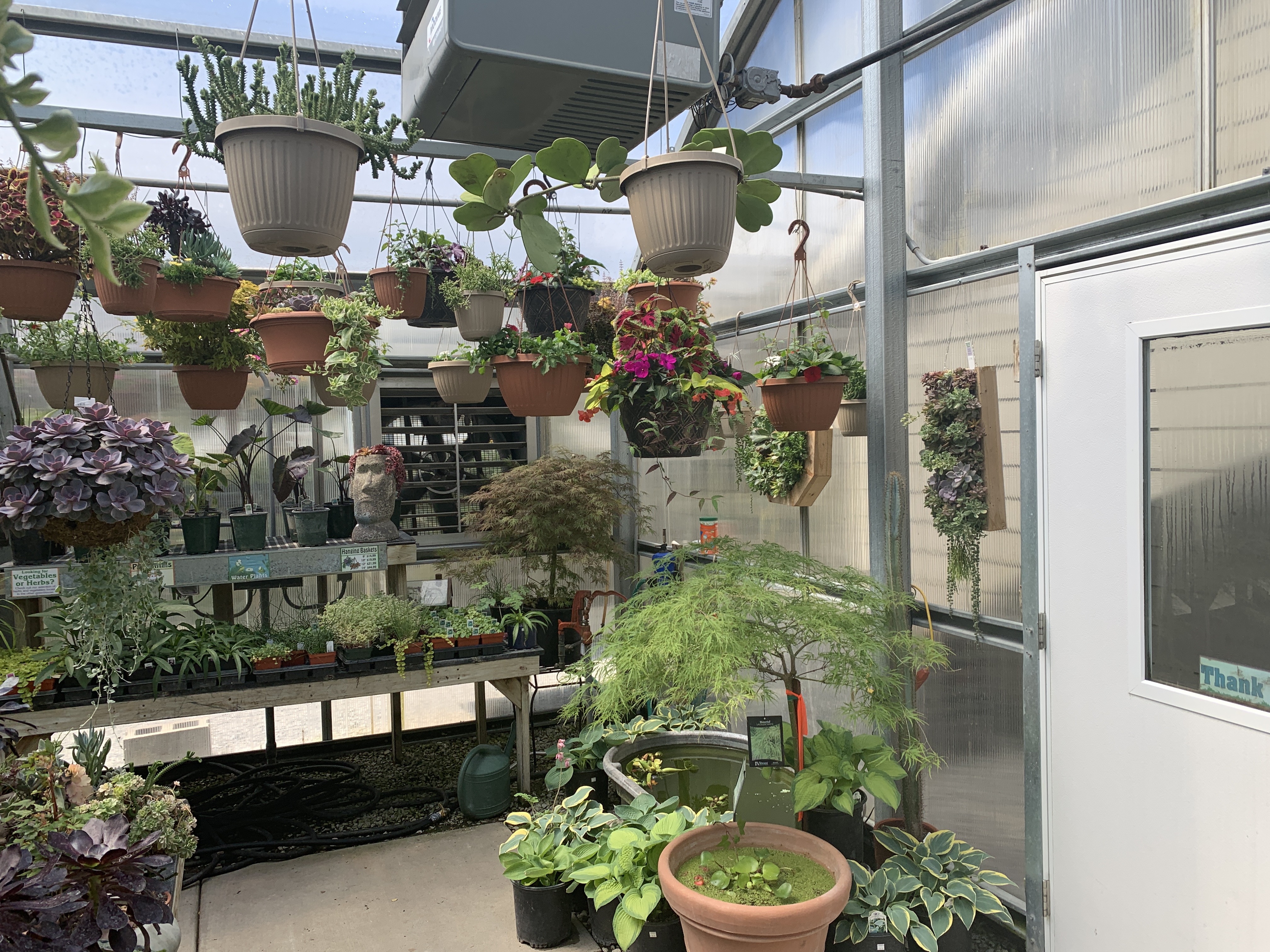 Urban Trail Gardens
