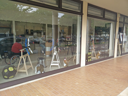 ARCHERY ZONE - Visual
