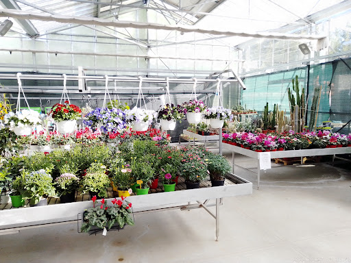 AmmiraGarden Gallery - Italy