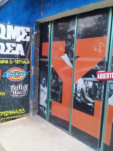 Firme Area 43 - Thumbnail
