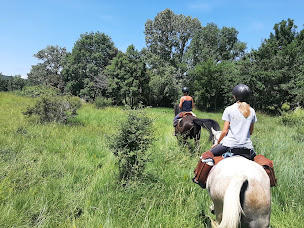 Photo n°1 de La ferme équestre de Rouffiac-des-Corbières à Rouffiac-des-Corbières (Centre équestre)