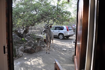 Photos of Milkwood Guest House