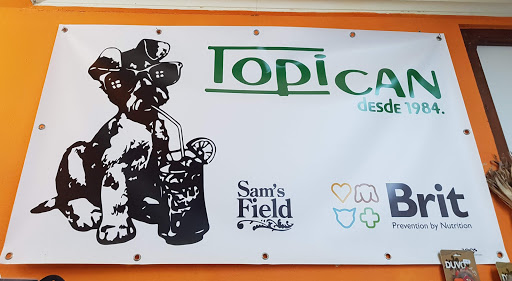 Topican - Visual